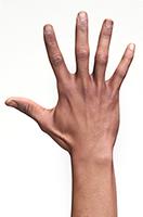 Retopologized 3D Hand scan Rahil Waters Hispanic male